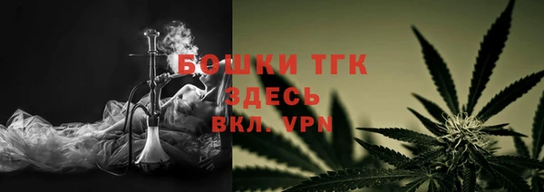 сатива Арсеньев
