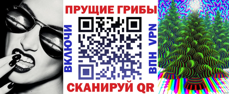 Псилоцибиновые грибы GOLDEN TEACHER  Хотьково 